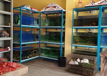 Friends-pet-shop-Pet-stores-Cuttack-Odisha-3