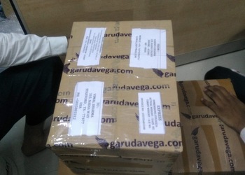 Garudavega-international-courier-service-Courier-services-Indore-Madhya-pradesh-2