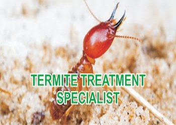 Global-india-pest-control-services-Pest-control-services-Sonipat-Haryana-2