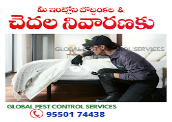 Global-pest-control-guntur-Pest-control-services-Lakshmipuram-guntur-Andhra-pradesh-2