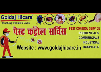 Goldaj-hicare-Pest-control-services-New-delhi-Delhi