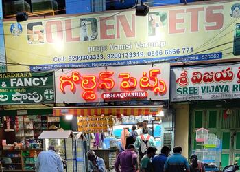 Golden-pets-Pet-stores-Vijayawada-Andhra-pradesh-1