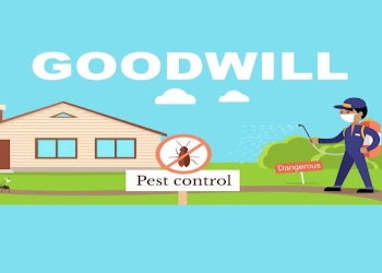 Goodwill-pest-control-services-Pest-control-services-Gaya-Bihar-1