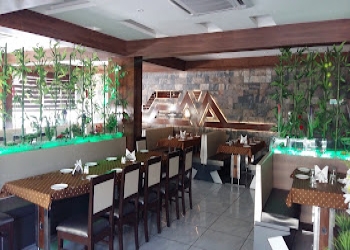 Green-apple-restaurant-Pure-vegetarian-restaurants-Gandhinagar-Gujarat-2