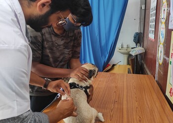 Happy-tails-Veterinary-hospitals-Vizag-Andhra-pradesh-3