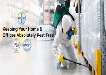 Haryana-pest-control-Pest-control-services-Sector-29-faridabad-Haryana-2