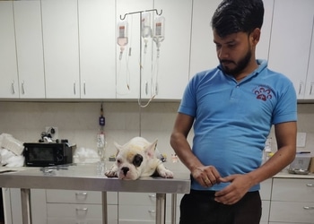 Healwell-pet-clinic-Veterinary-hospitals-Sector-51-noida-Uttar-pradesh-3