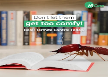 Hicare-pest-control-services-Pest-control-services-Vikhroli-mumbai-Maharashtra-2