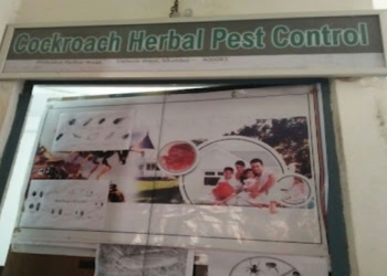 Holkar-pest-control-solutions-Pest-control-services-Vikhroli-mumbai-Maharashtra-1