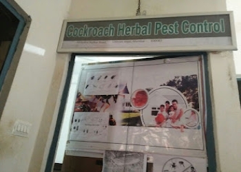 Holkar-pest-control-solutions-Pest-control-services-Vikhroli-mumbai-Maharashtra-2