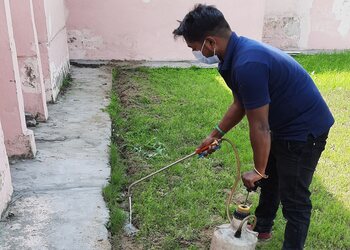 Icare-pest-control-service-Pest-control-services-Model-gram-ludhiana-Punjab-2