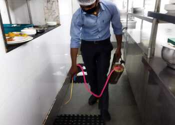 Ics-pest-control-services-Pest-control-services-Sector-22-chandigarh-Chandigarh-3