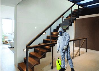 Integrated-pest-control-pvt-ltd-Pest-control-services-Armane-nagar-bangalore-Karnataka-2