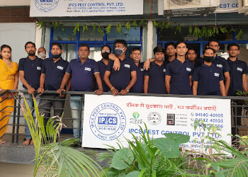 Ipcs-pest-control-pvt-ltd-Pest-control-services-Shastri-nagar-jaipur-Rajasthan-2