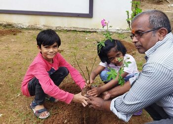 Ivy-international-play-school-Play-schools-Warangal-Telangana-3