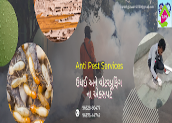 Jamnagar-pest-control-solutions-Pest-control-services-Jamnagar-Gujarat-2