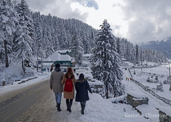 Jandk-tour-plaza-Travel-agents-Jammu-Jammu-and-kashmir-1