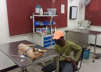 Jp-pet-speciality-hospital-Veterinary-hospitals-Race-course-coimbatore-Tamil-nadu-2