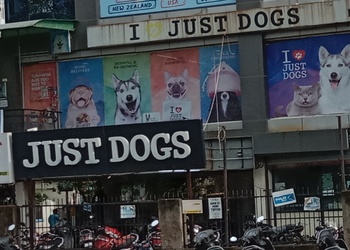 Just-dogs-Pet-stores-Paldi-ahmedabad-Gujarat-1