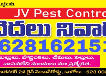 Jv-pest-control-Pest-control-services-Ongole-Andhra-pradesh-1