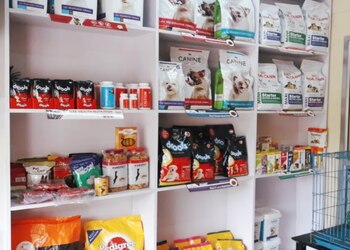 Kalinga-pet-shop-farm-Pet-stores-Lalpur-ranchi-Jharkhand-2