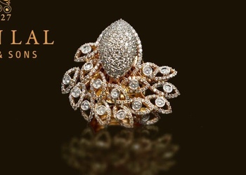 Kishan-lal-jewellers-and-sons-pvt-ltd-Jewellery-shops-Kote-gate-bikaner-Rajasthan-3