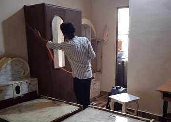 Laxmi-pest-control-service-Pest-control-services-Mahaveer-nagar-kota-Rajasthan-3