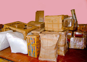 Leo-care-packers-and-movers-Packers-and-movers-Armane-nagar-bangalore-Karnataka-2