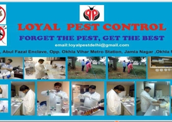 Loyal-pest-control-services-Pest-control-services-Okhla-delhi-Delhi-1