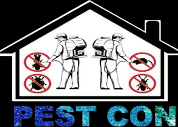 Maa-pest-control-service-Pest-control-services-Patna-Bihar-1