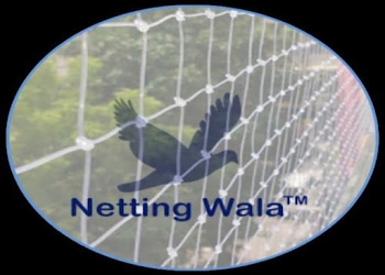 Manzil-pest-control-pvt-ltd-Pest-control-services-Rohini-delhi-Delhi-1