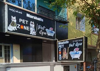 Marshalls-pet-zone-and-pet-spa-Pet-stores-Kakinada-Andhra-pradesh-1