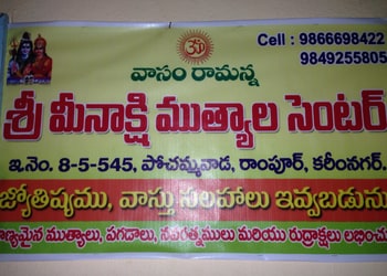 Meenakshi-mutyala-center-Astrologers-Karimnagar-Telangana-2