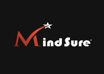 Mindsure-tax-consultancy-Tax-consultant-Akota-vadodara-Gujarat-1