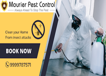 Mourier-pest-control-Pest-control-services-City-centre-bokaro-Jharkhand-1