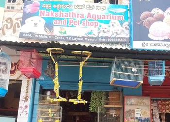 Nakshathra-aquariums-and-pets-shop-Pet-stores-Mysore-Karnataka-1