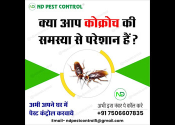Nd-pest-control-Pest-control-services-Navi-mumbai-Maharashtra-3