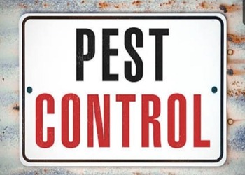 Neelam-pest-control-services-Pest-control-services-Prem-nagar-dehradun-Uttarakhand-1