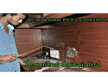 New-asian-pest-control-Pest-control-services-Salem-junction-salem-Tamil-nadu-1