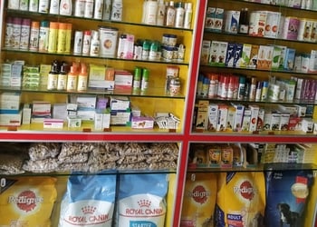 New-bhandari-drug-Medical-shop-Hazaribagh-Jharkhand-3