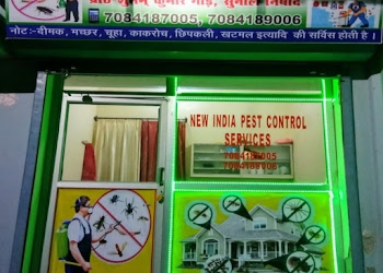 New-india-pest-control-service-Pest-control-services-Golghar-gorakhpur-Uttar-pradesh-1