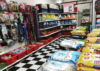 No1-pet-shop-Pet-stores-Ganapathy-coimbatore-Tamil-nadu-2