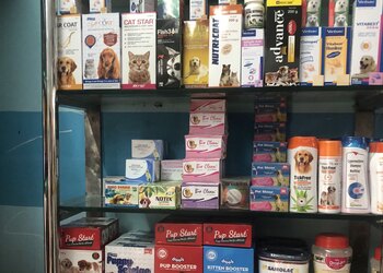 Noahz-pets-ark-Pet-stores-Kowdiar-thiruvananthapuram-Kerala-2