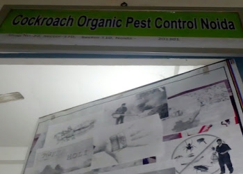 Noida-pest-control-solutions-Pest-control-services-Botanical-garden-noida-Uttar-pradesh-1