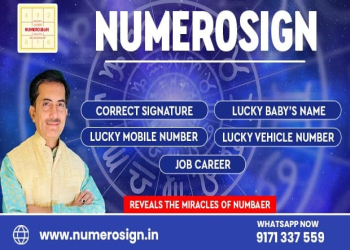 Numerosign-growth-solution-Numerologists-Satna-Madhya-pradesh-1