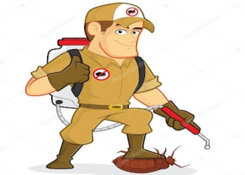 One-india-pest-control-services-Pest-control-services-Ghaziabad-Uttar-pradesh-1