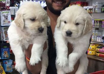 One-stop-pet-store-Pet-stores-Athwalines-surat-Gujarat-2