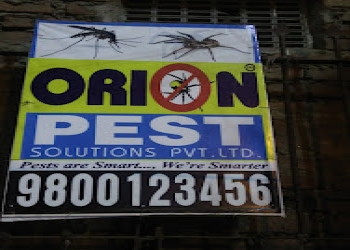 Orion-pest-solutions-pvt-ltd-Pest-control-services-Dhulian-West-bengal-2