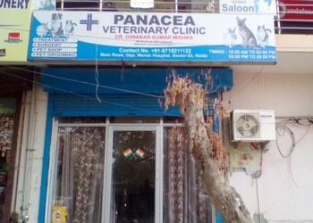 Panacea-veterinary-clinic-Veterinary-hospitals-Sector-16-noida-Uttar-pradesh-1