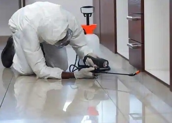 Panache-pest-control-pvt-ltd-Pest-control-services-Noida-Uttar-pradesh-3